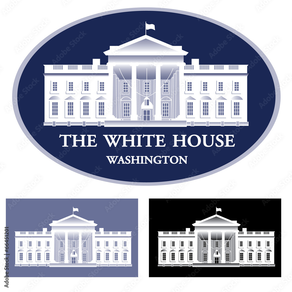 White House - detailed vector illustration