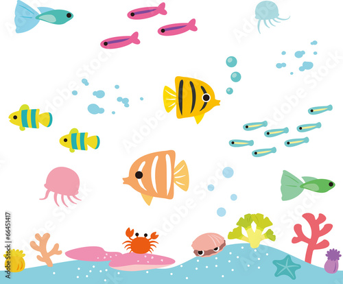 熱帯魚とサンゴの海