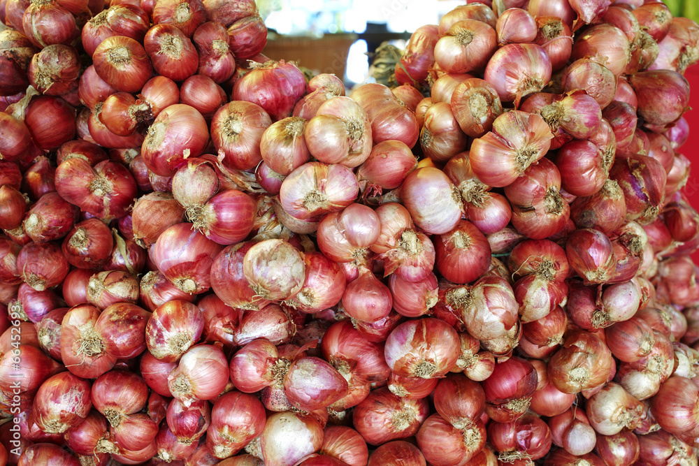 close up many thai onion in market
