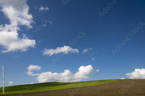 Chianti Landscape