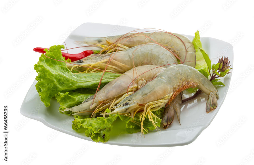 Raw tiger shrimps