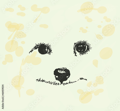 Smile of a dog.
