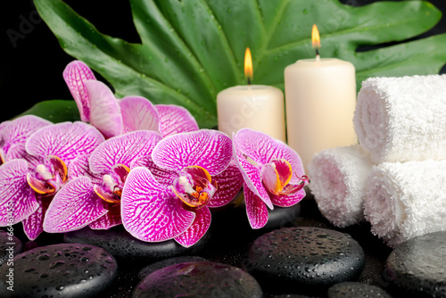 spa setting of twig stripped violet orchid  phalaenopsis    zen