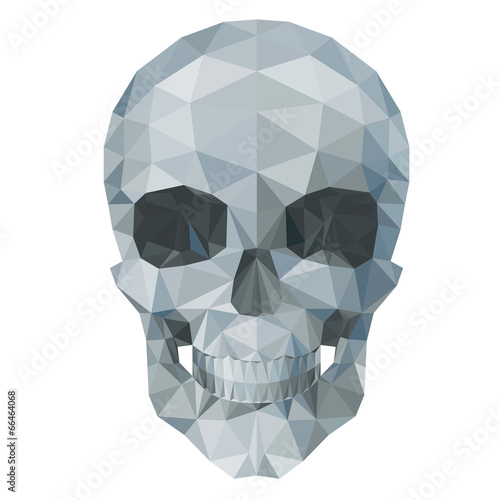 gray  skull by triangles, polygon vector illustration