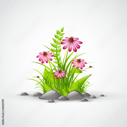 blumenbeet pink