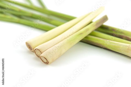 Lemon grass