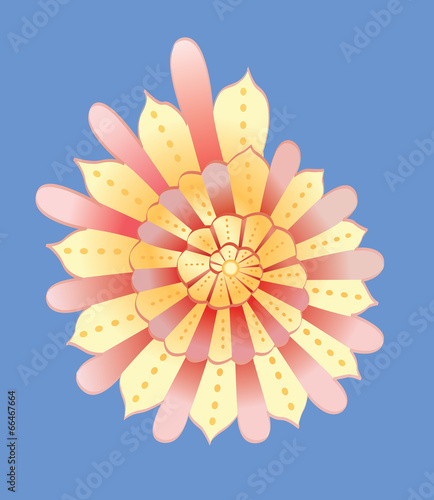 abstract yellow cockleshell vector