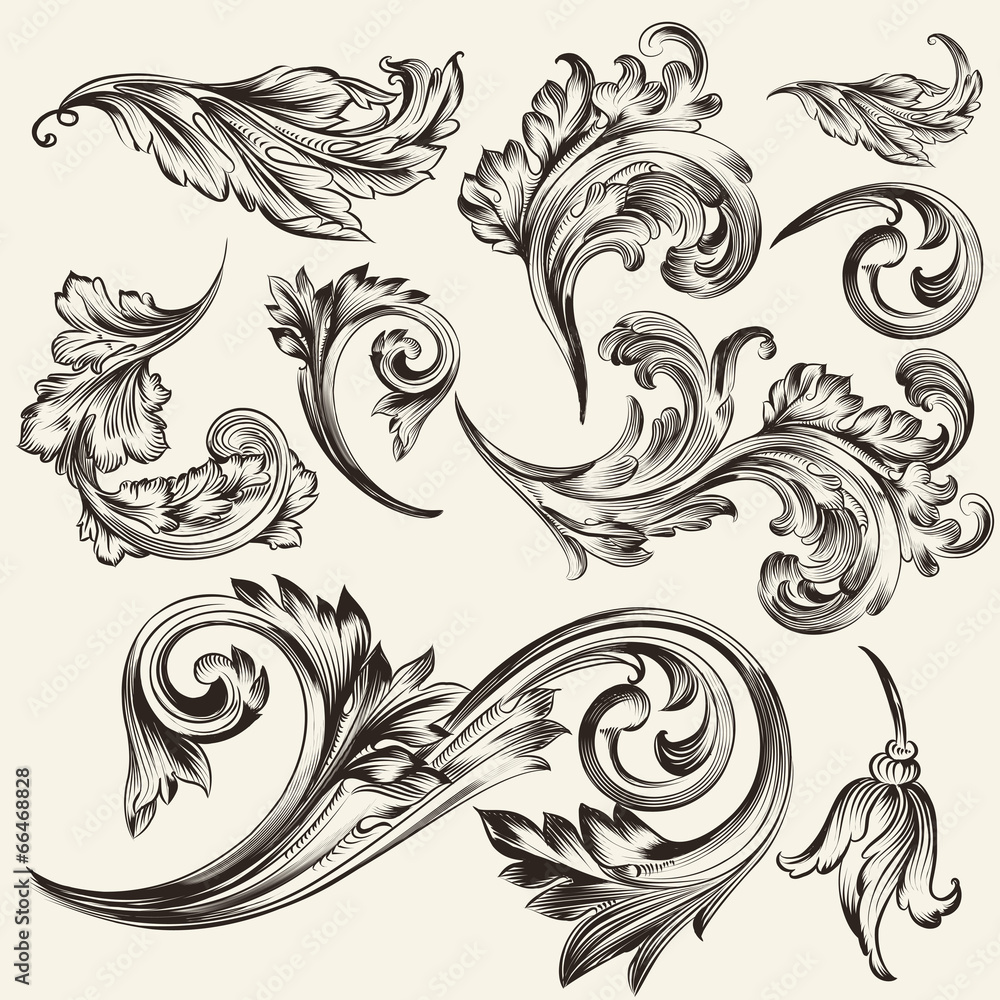 Collection of vector vintage flourishes
