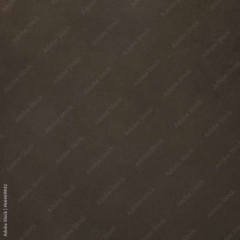 Fototapeta premium Brown leather