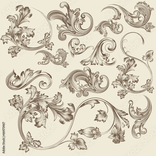 Set of vector flourishes in vintage style