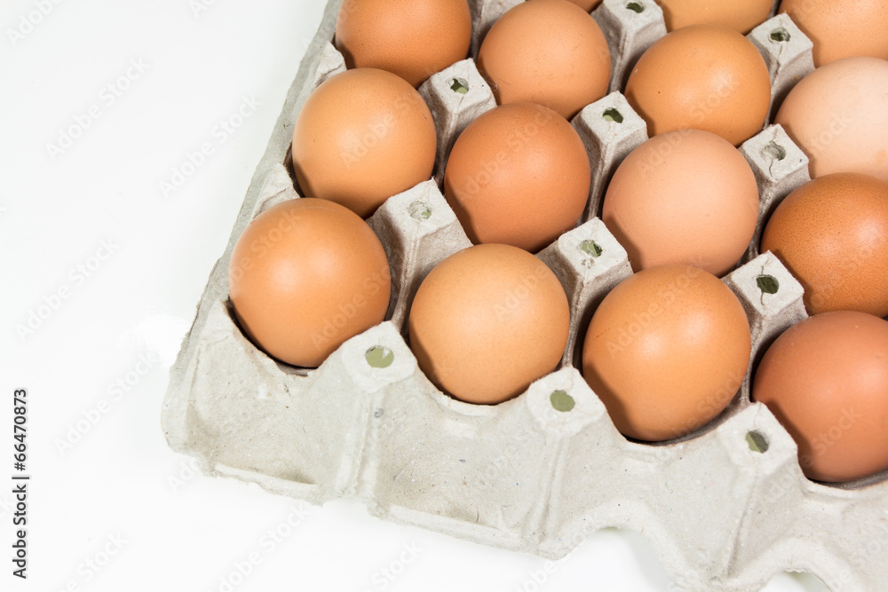 Fresh Eggs Fresh Eggs