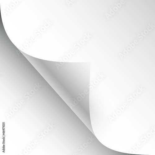 vector sheet of paper with page curl and shadow