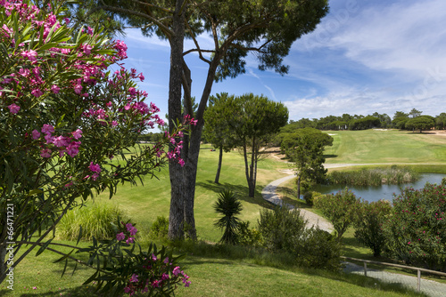 Fototapeta Naklejka Na Ścianę i Meble -  A Landscape of a golf course in Vilamoura