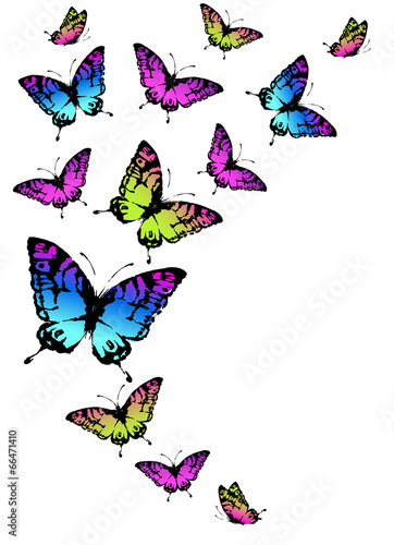 butterflies design