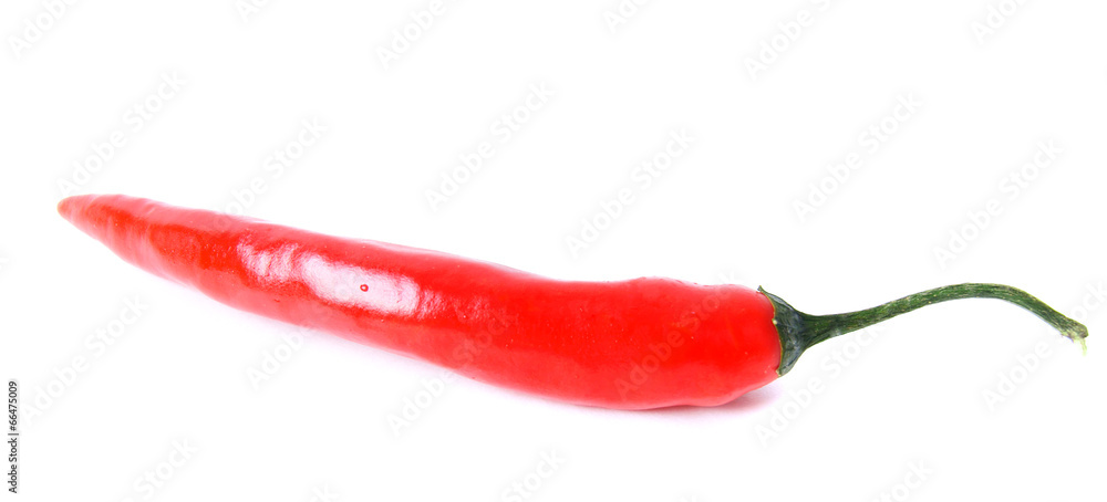 Pepper on white background. Pepper on white background.