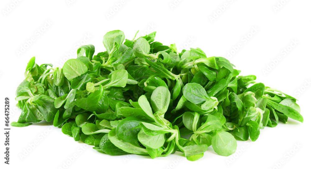 Greens Greens
