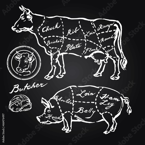 pork and beef cuts - hand drawn set