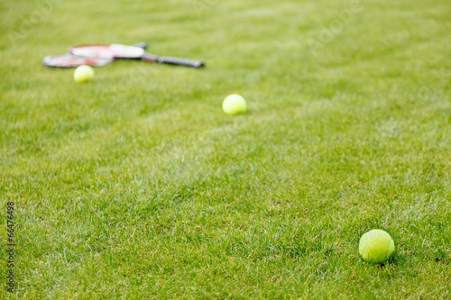 tennis ball and racket on the grass