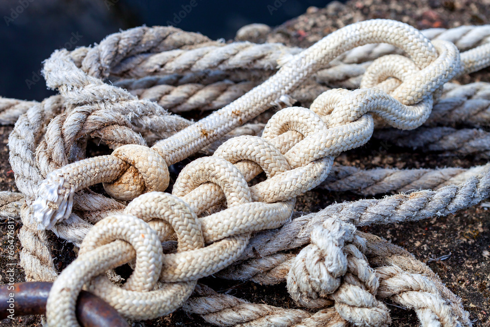 Rope knotted on a shore