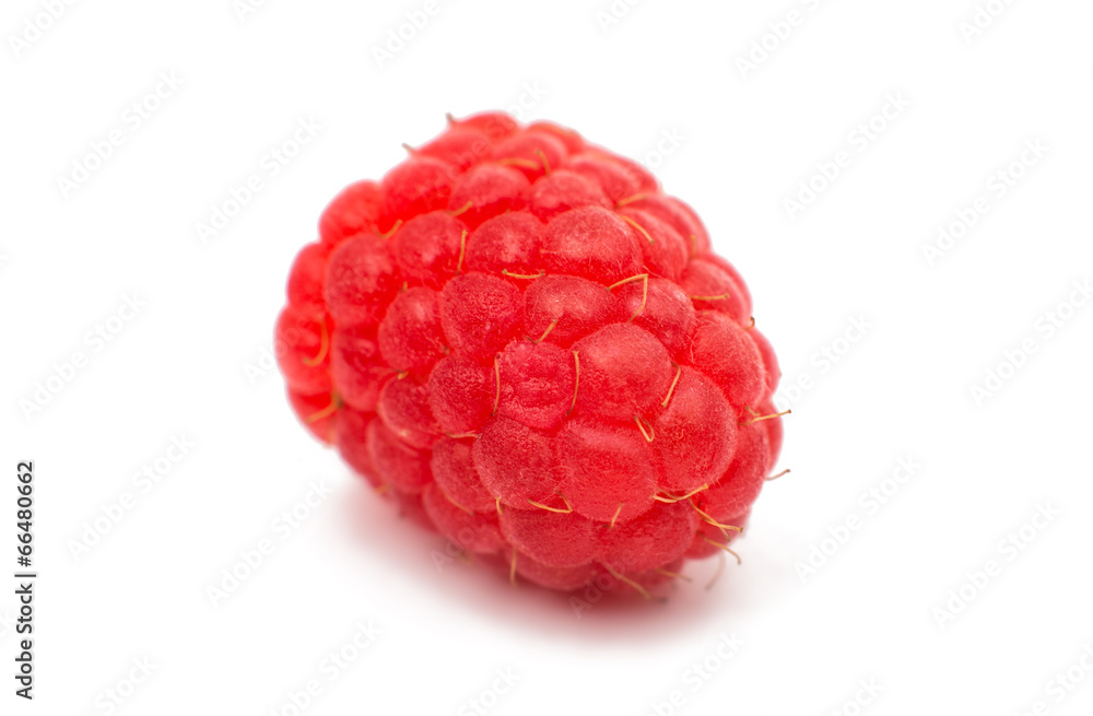 fresh raspberries isolated fresh raspberries isolated