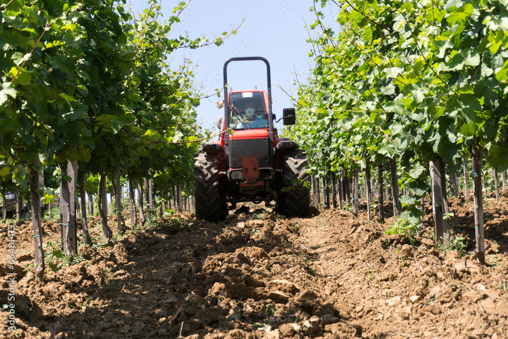 Fototapeta premium Tractor spraying vineyard