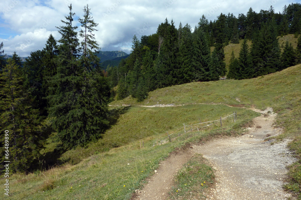Fototapeta premium Wanderweg zur Königsalm