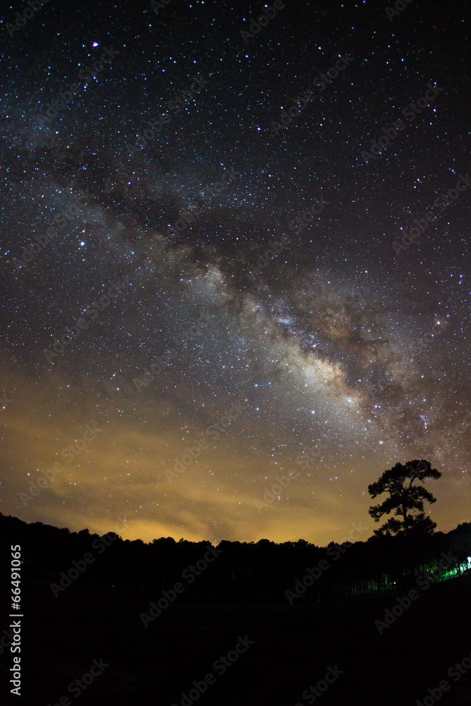 Milky Way at Phu Hin Rong Kla National Park,Phitsanulok Thailand