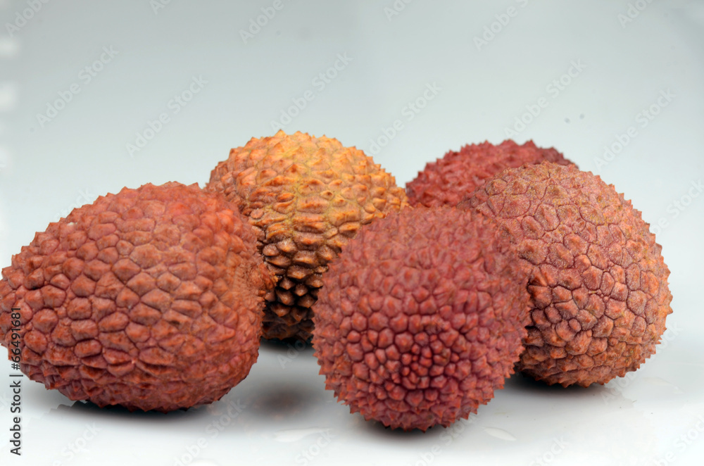 Litchi chinensis Litchi chinensis