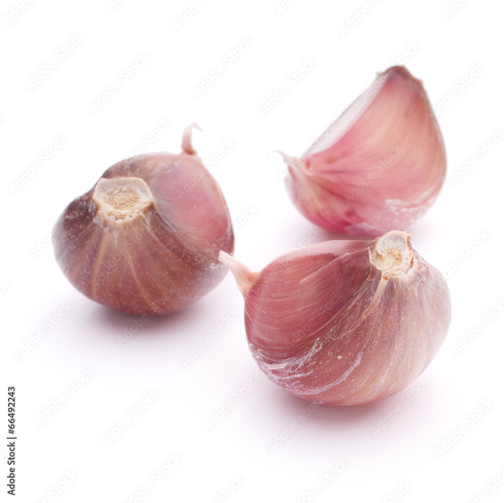 Fototapeta premium Garlic clove isolated on white background cutout