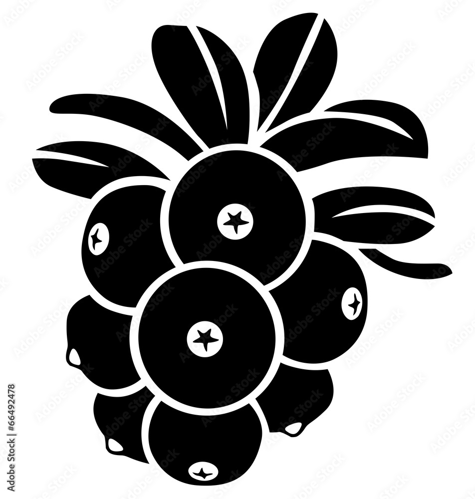 Cowberries Cowberries