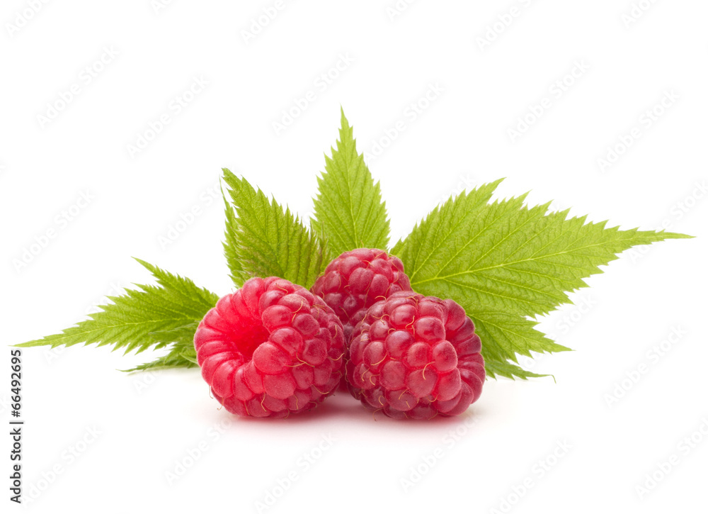 Sweet raspberry isolated on white background cutout Sweet raspberry isolated on white background cutout