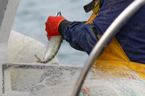 fisherman