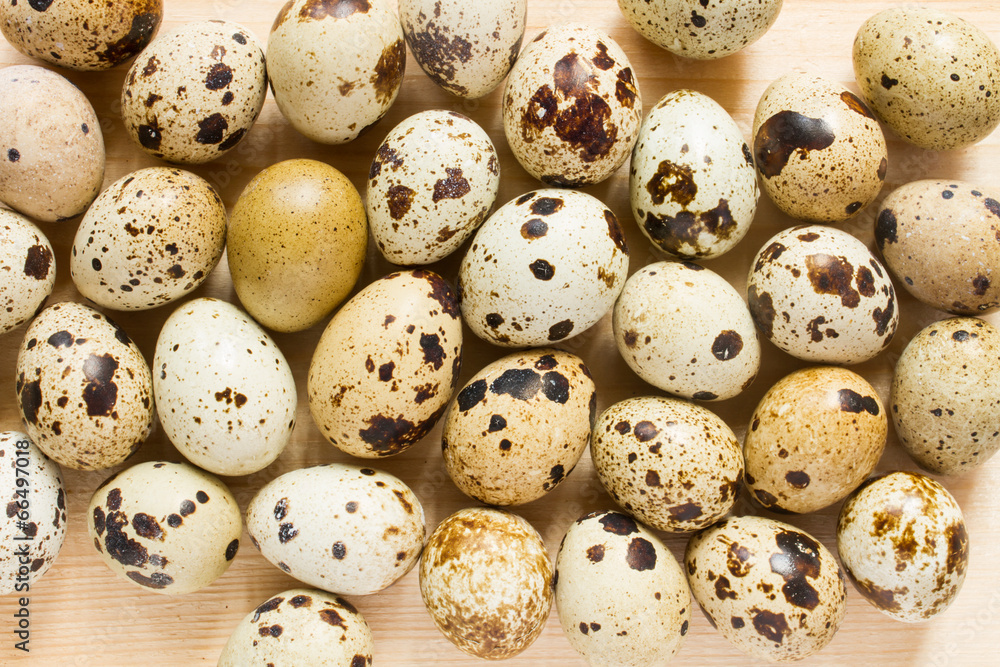 quail eggs - top view quail eggs - top view