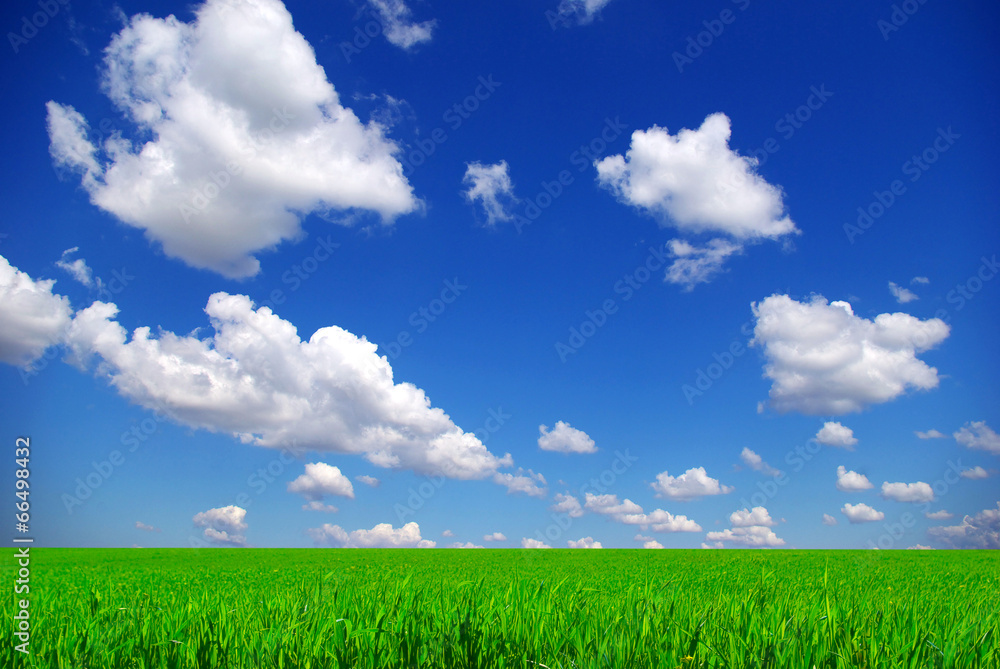 landscape landscape