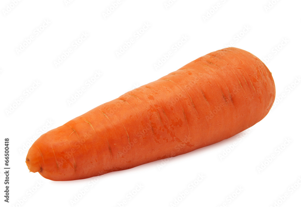 fresh carrots isolated on white background fresh carrots isolated on white background