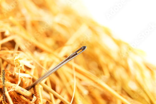 Papier peint Needle in a haystack.