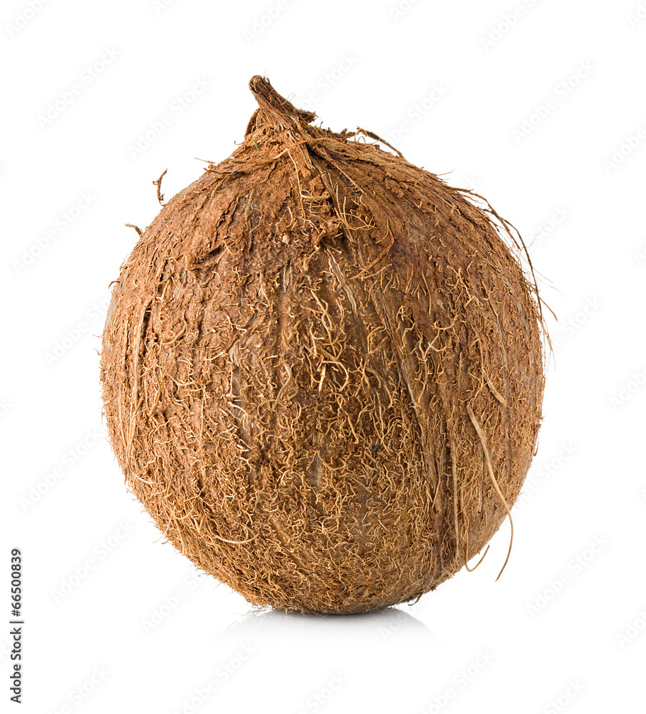 Coconut isolated on white Coconut isolated on white