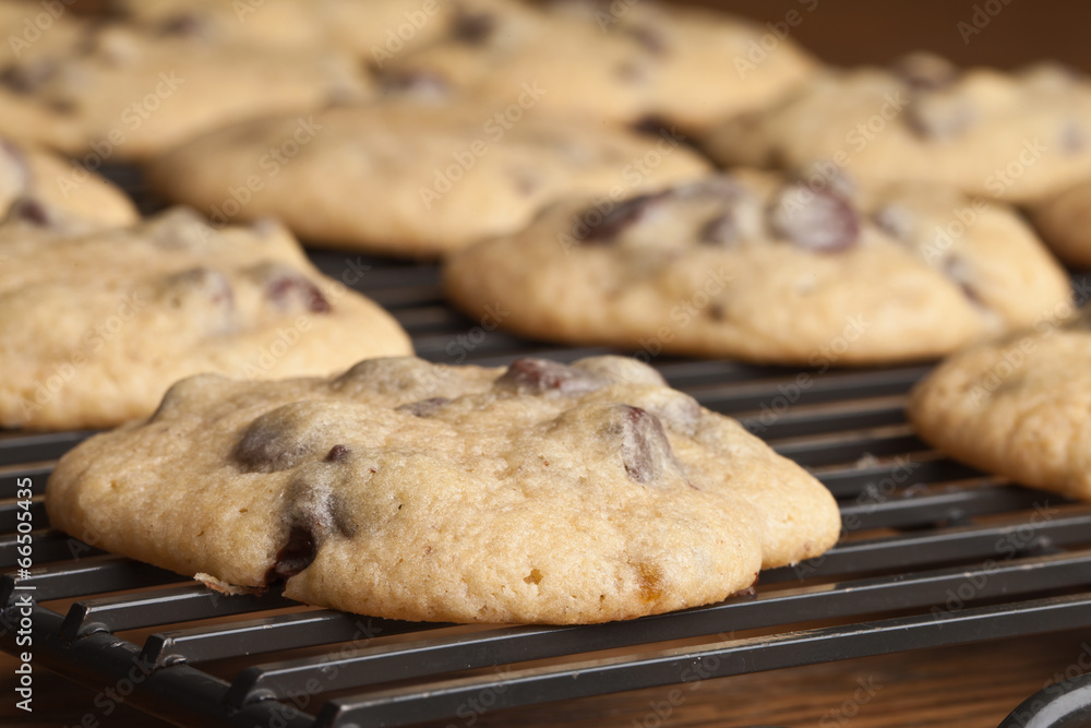 Macro shot of freshly baked chocolate chip cookies on a cooling rack