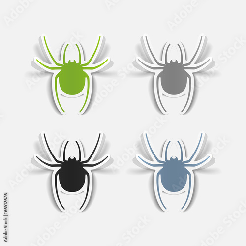 realistic design element: spider