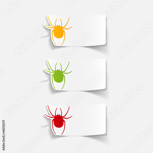 realistic design element: spider