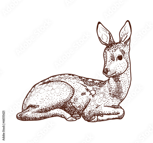 Lying cartoon deer