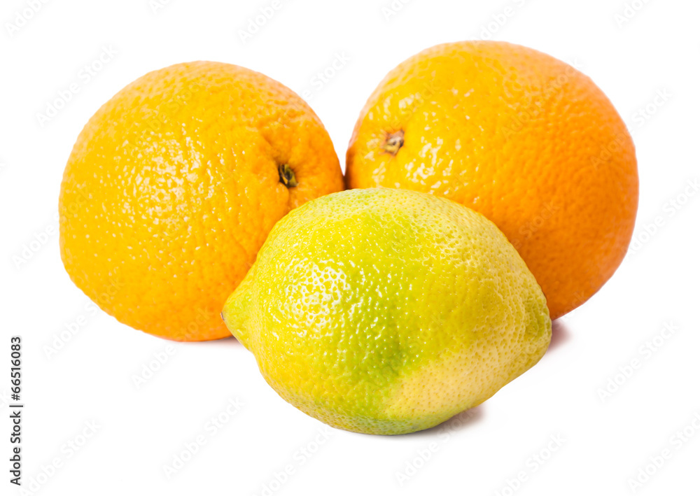 still life of ripe oranges and lemon still life of ripe oranges and lemon