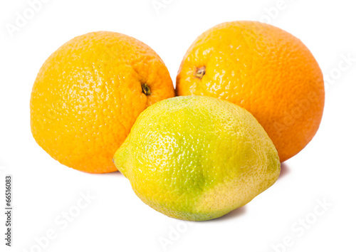 still life of ripe oranges and lemon