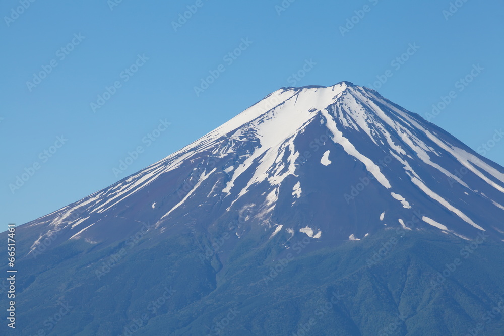 Mt Fuji in summer season from Kawaguchiko lake, Yamanashi