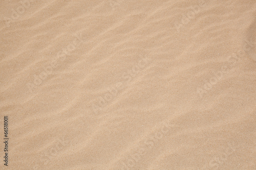 Fototapeta Naklejka Na Ścianę i Meble -  sand ripples