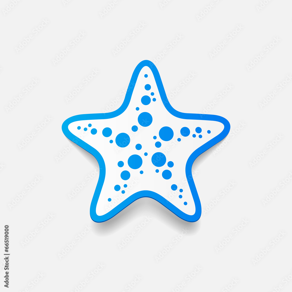 realistic design element: starfish realistic design element: starfish