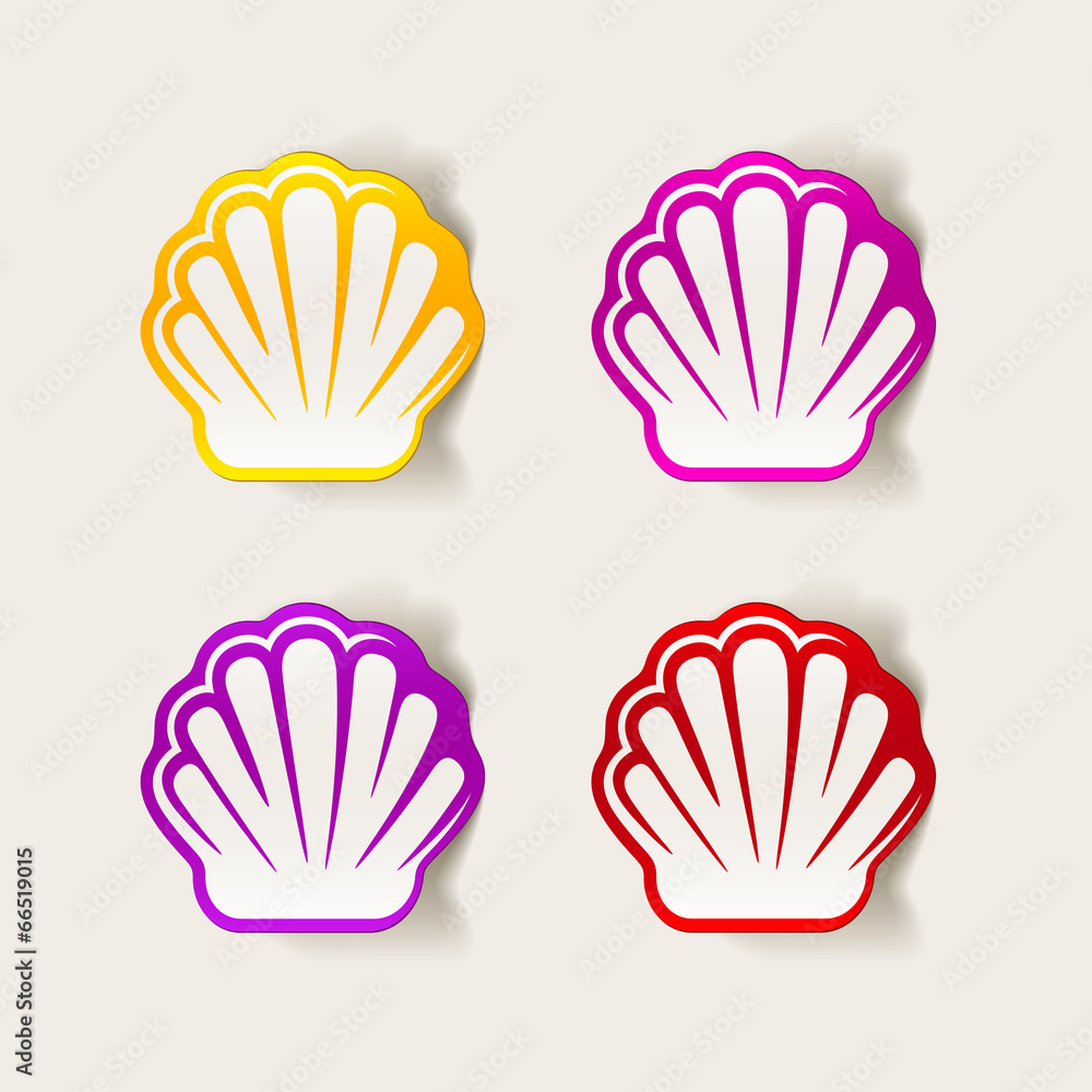 realistic design element: shell realistic design element: shell