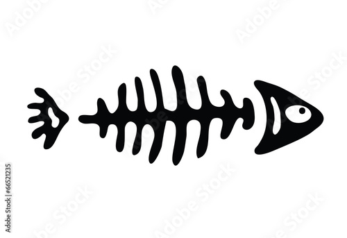 fish bone, vector illustration