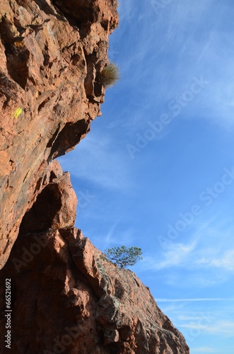 Détail, Roche , massif de l'Estérel 