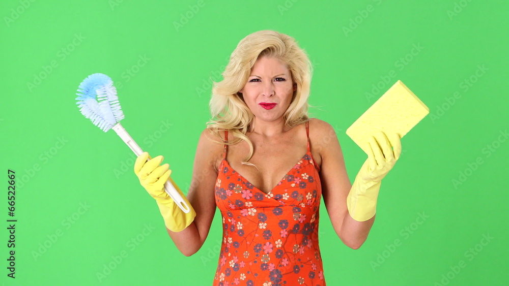 Sexy blonde woman with toilet bowl brush and sponge Sexy blonde woman with toilet bowl brush and sponge